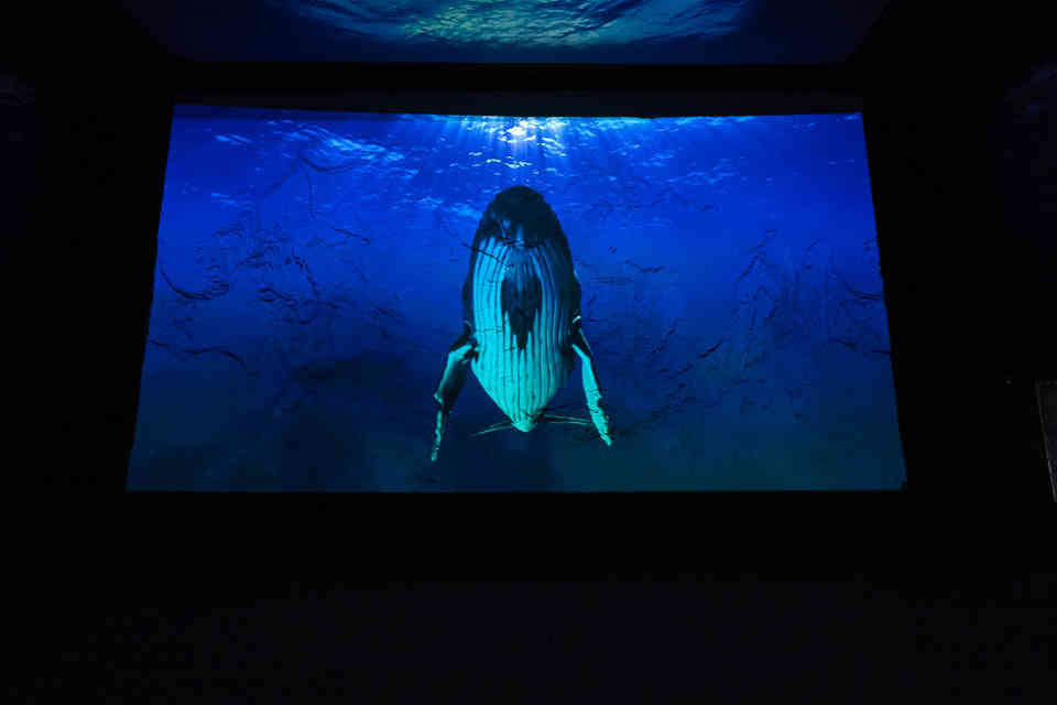 Acquario di Genova