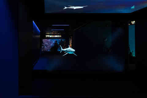 Acquario di Genova