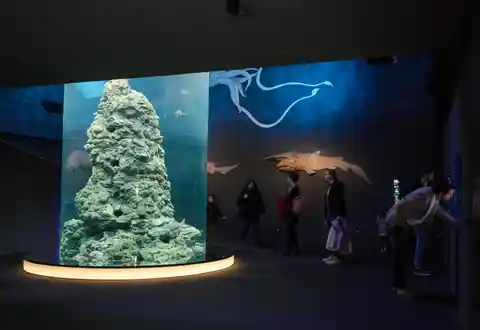 Acquario di Genova