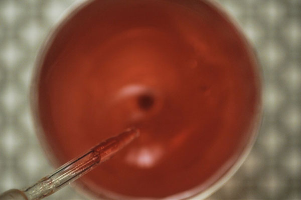 Campari