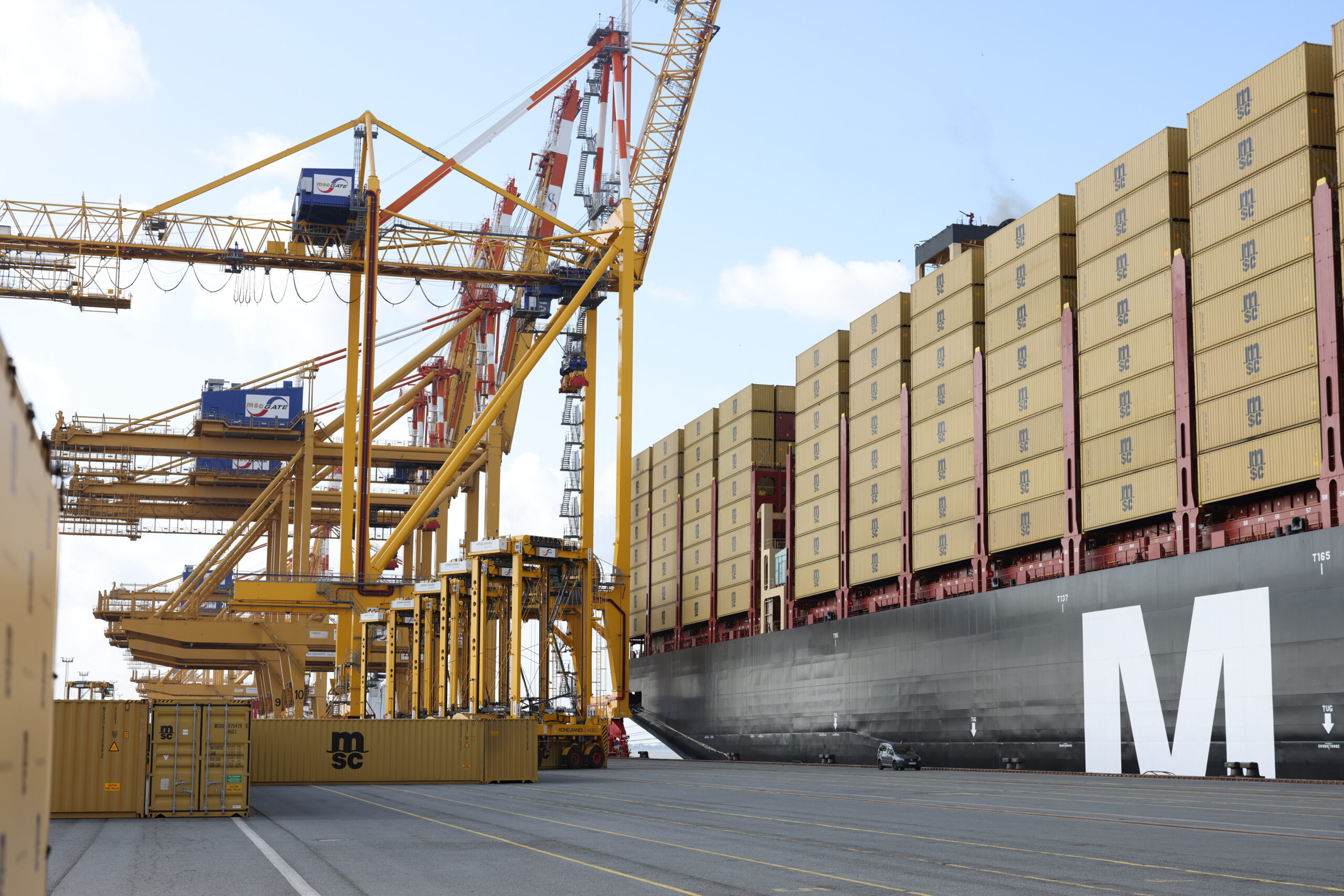 MSC Cargo